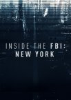 Работа ФБР в Нью-Йорке: Взгляд изнутри 1 сезон