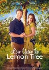 Любовь под лимонным деревом