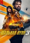 Шальная пуля 3