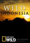 Дикая природа Индонезии 1 сезон