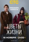 Цветы жизни 1 сезон