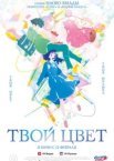 Твой цвет