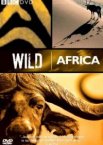 BBC: Дикая Африка 1 сезон
