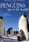 Пингвины: Шпион в толпе 1 сезон