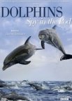 BBC: Дельфины скрытой камерой 1 сезон