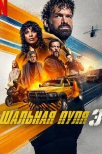Шальная пуля 3