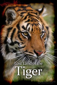 BBC: В поисках последнего тигра 1 сезон