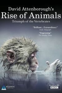 BBC. Восстание животных: Триумф позвоночных 1 сезон