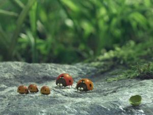 Букашки. Приключение в Долине муравьев