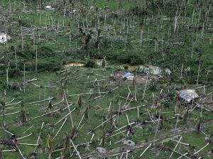 Ураган: Одиссея ветра 