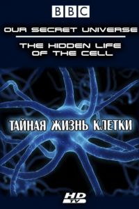Внутренняя вселенная: Тайная жизнь клетки