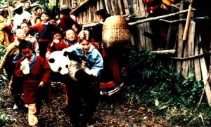 Удивительное приключение панды	