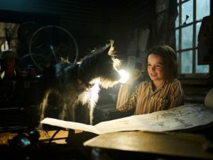 Мой любимый двортерьер